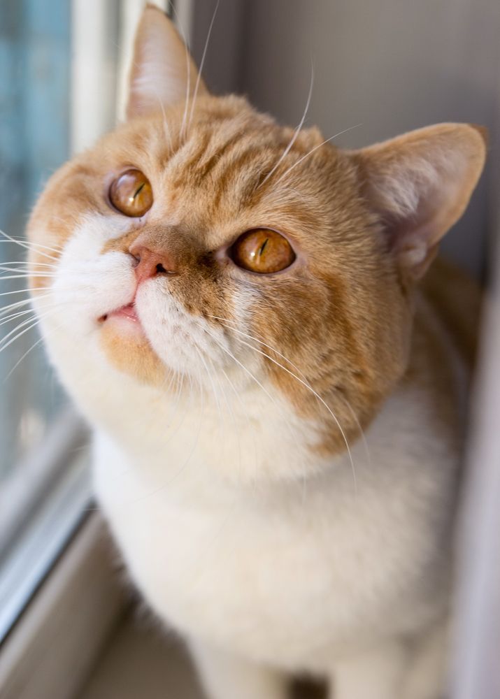 Photograph by Маргарита Гурова