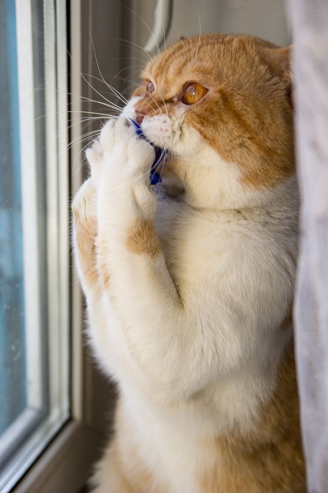 Photograph by Маргарита Гурова