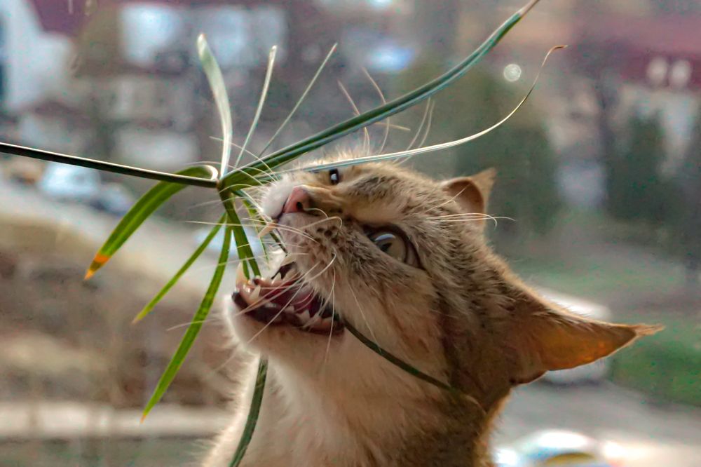 Photograph by Алфия Бугакова