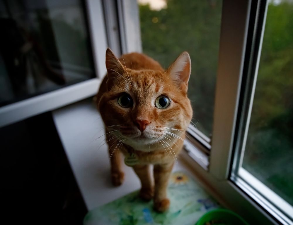 Photograph by Ольга Мазлова