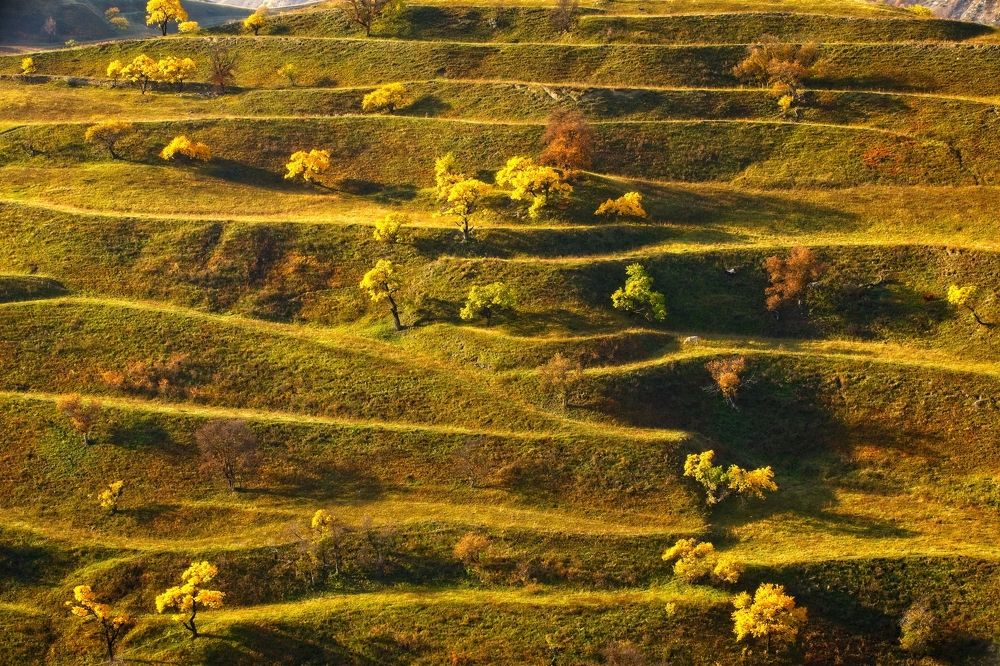 Photograph by Игорь Щербаков