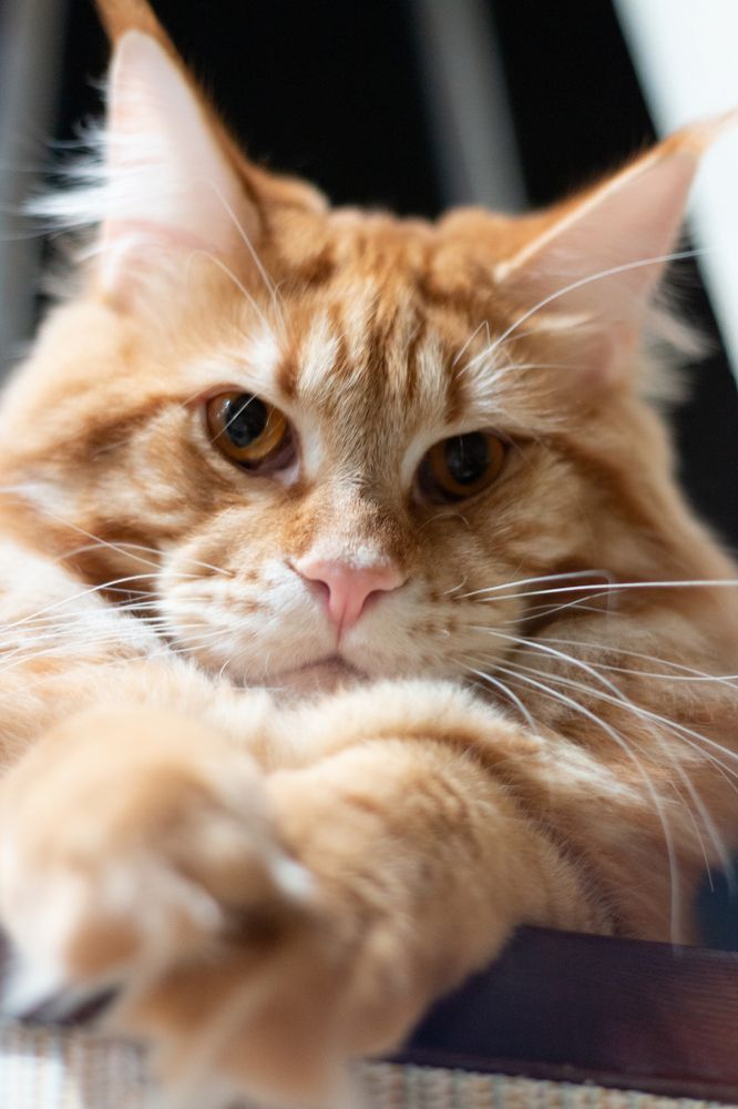 Photograph by Оксана Бадьева