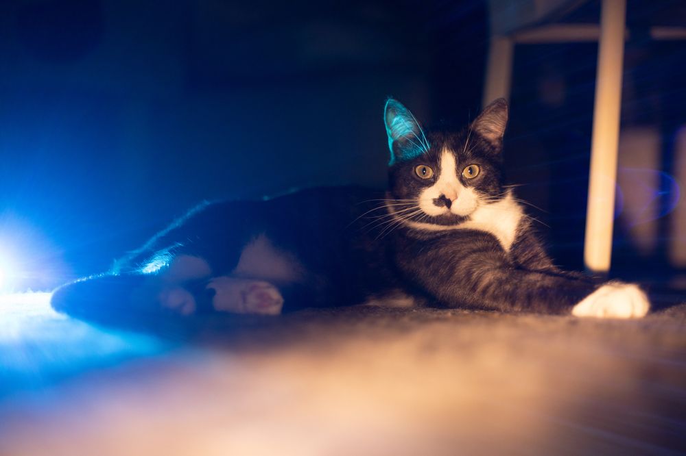 Photograph by Валерия Паули