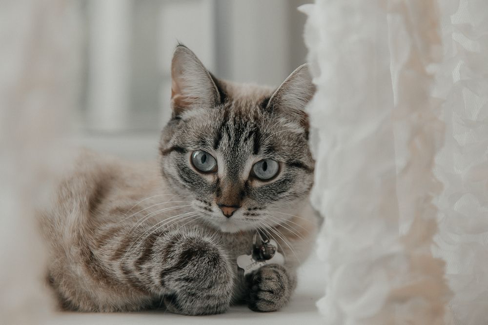 Вот какая  я красотка!