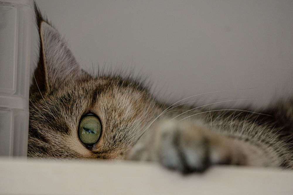 Photograph by Алфия Бугакова