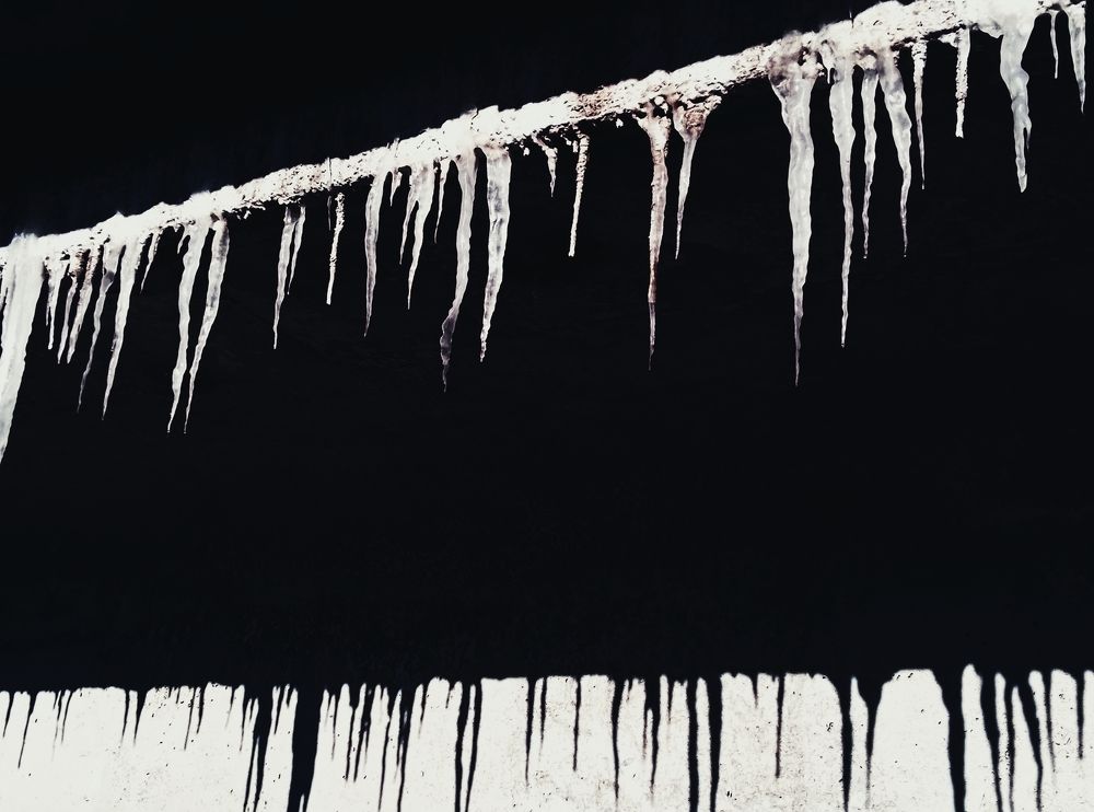 Photo #8659802