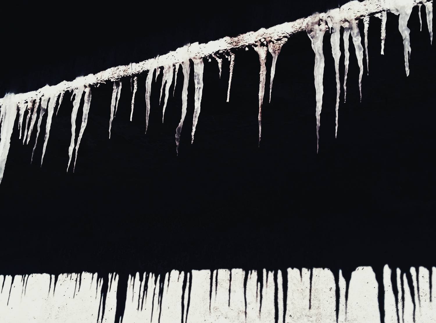 Photo #8659802