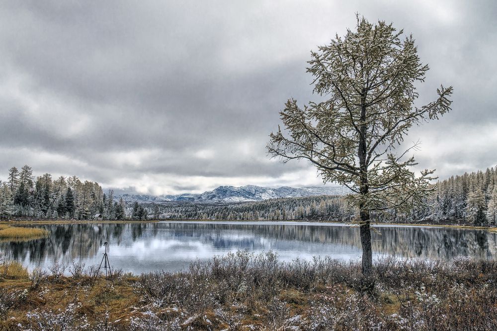 Photograph by Марина Юдинских