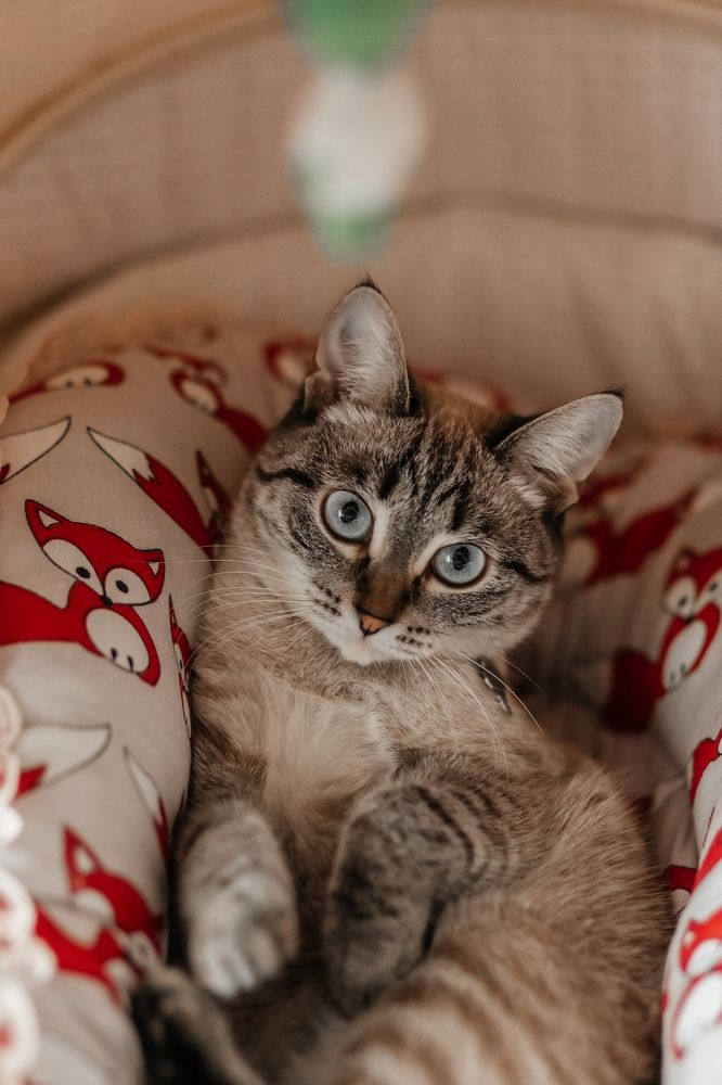 Photograph by Людмила Кузьмина