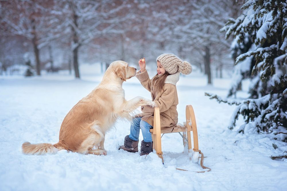 Photograph by Виктория Дубровская