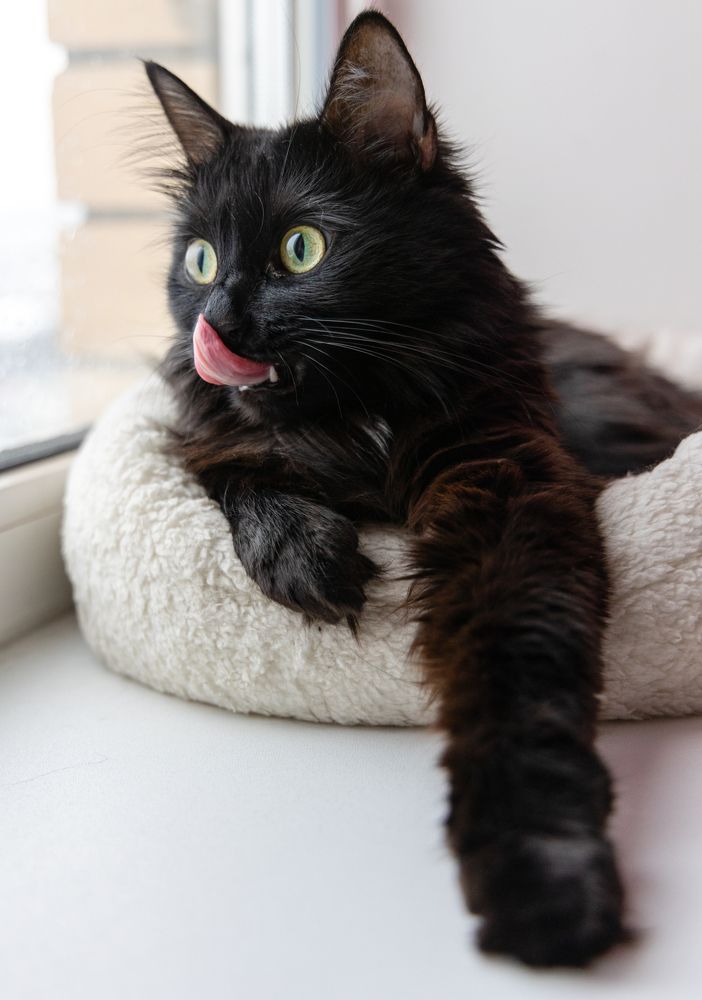 Photograph by Анна Бокова