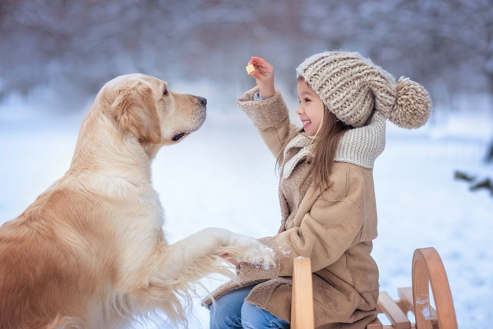 Photograph by Виктория Дубровская