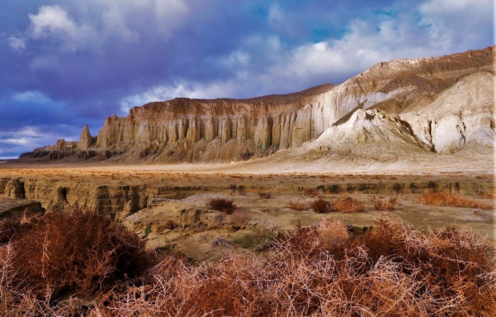 Photograph by Максимушкина Ольга