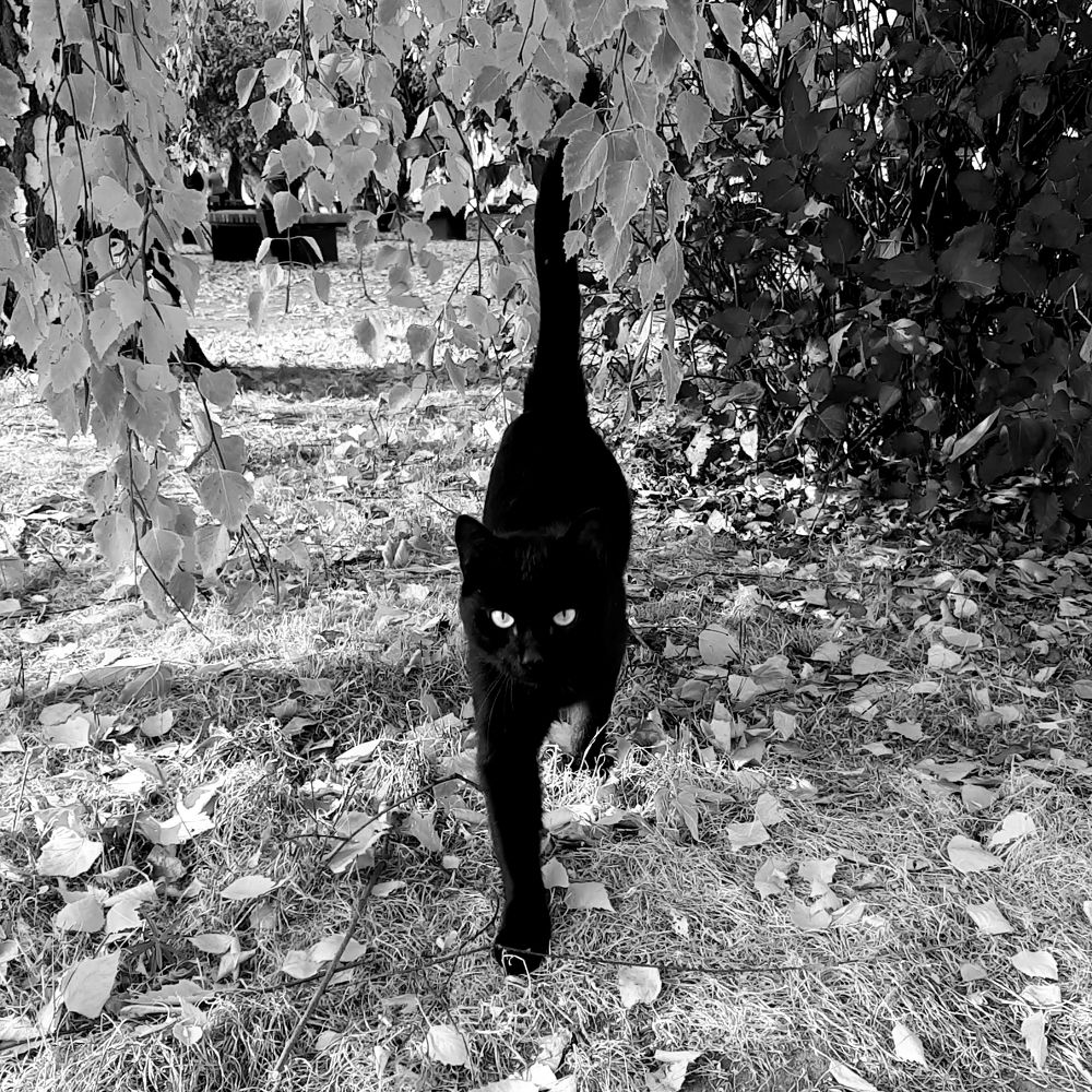 Photograph by Ирина Ахметова