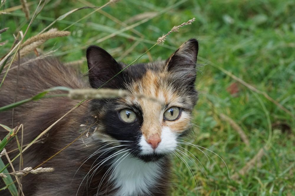 Photograph by Алфия Бугакова