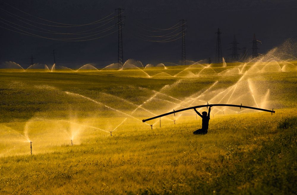 Photograph by NİYAZİ GÜRGEN