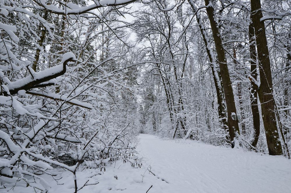 Photograph by Елена Иванова