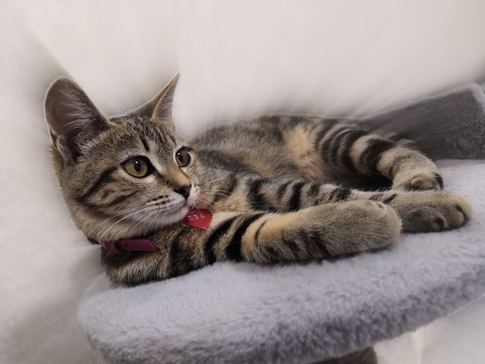 Photograph by Ирина Корнейчук