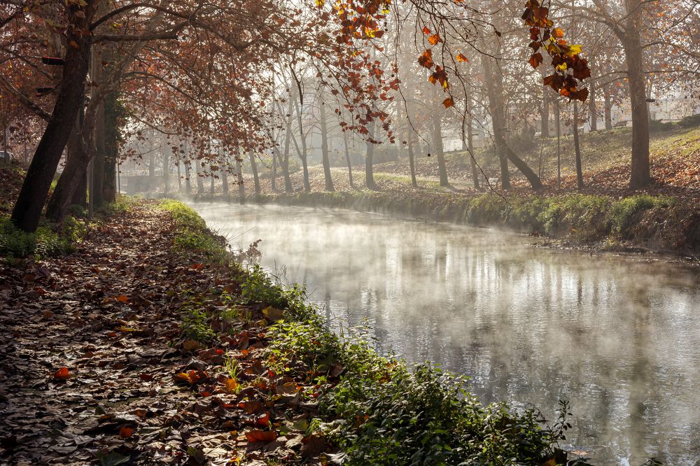 Утренняя река