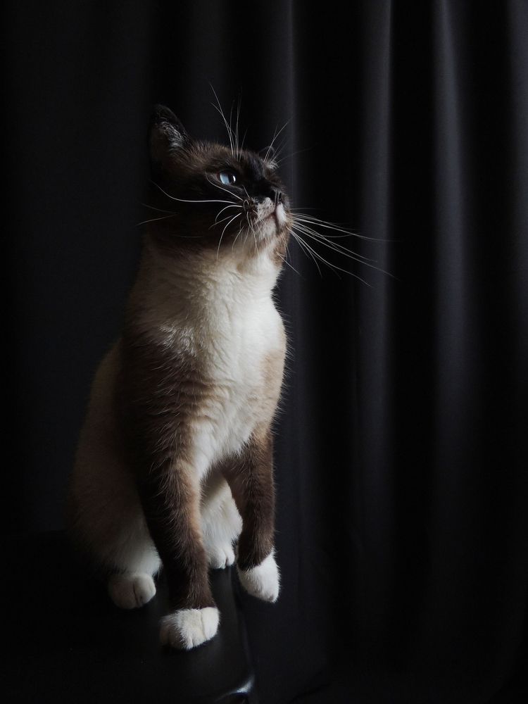 Photograph by Валентина Кваскова