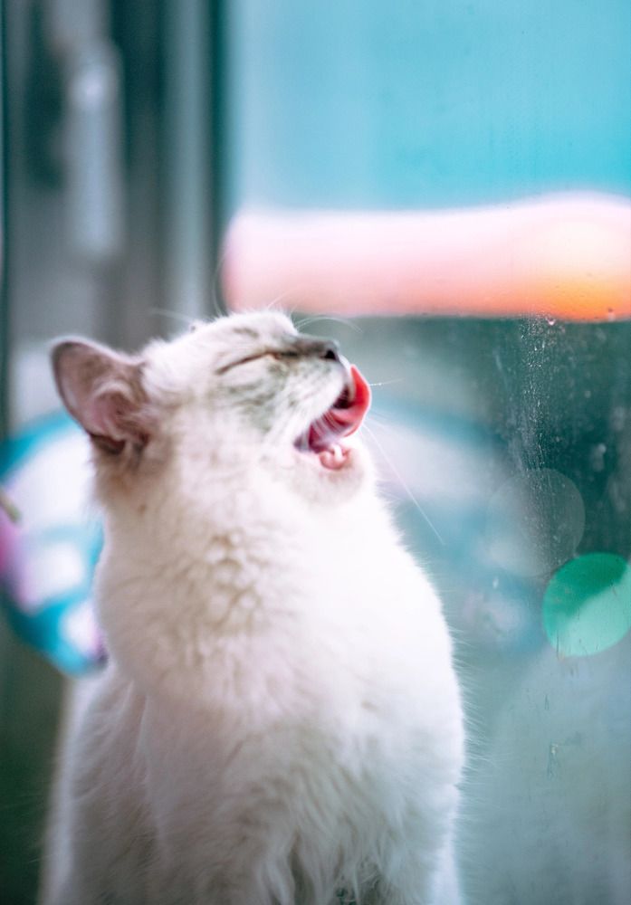 Photograph by Анна Смирнова