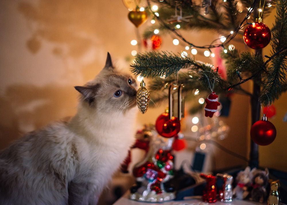 Photograph by Анна Смирнова