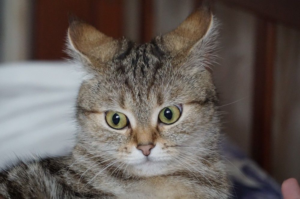 Photograph by Алфия Бугакова