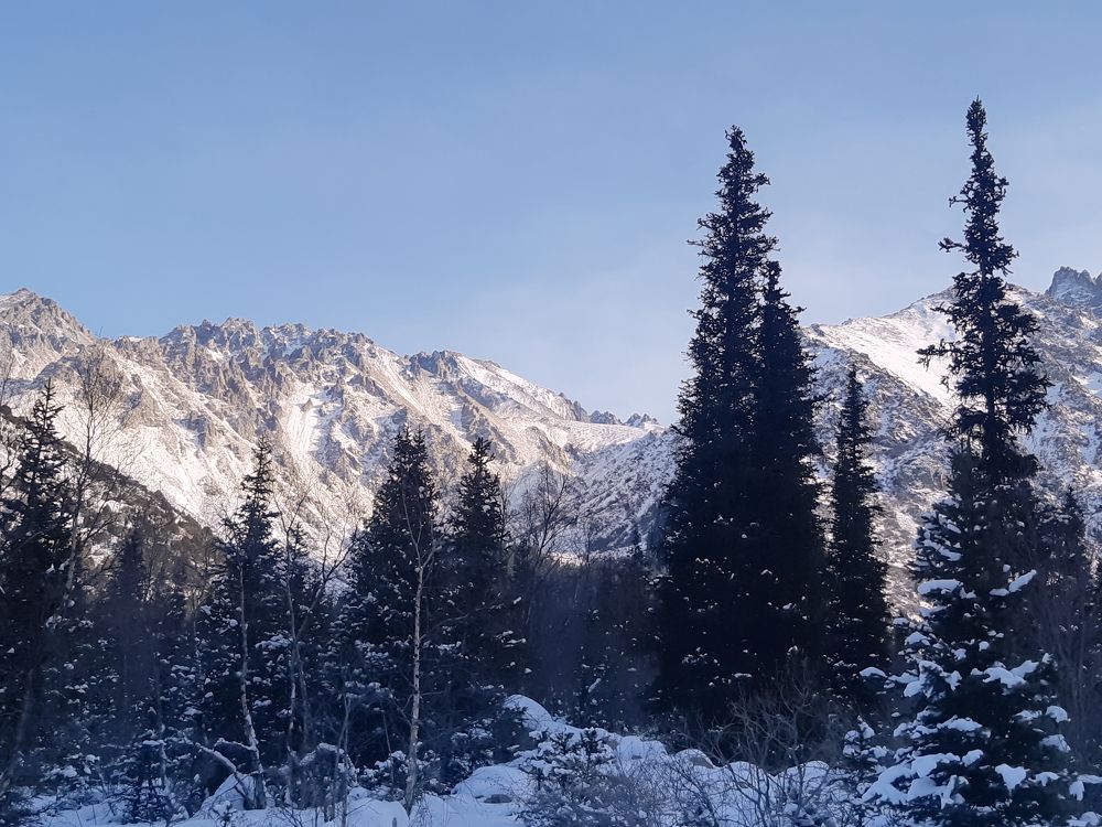 Photograph by Анна Чичилова