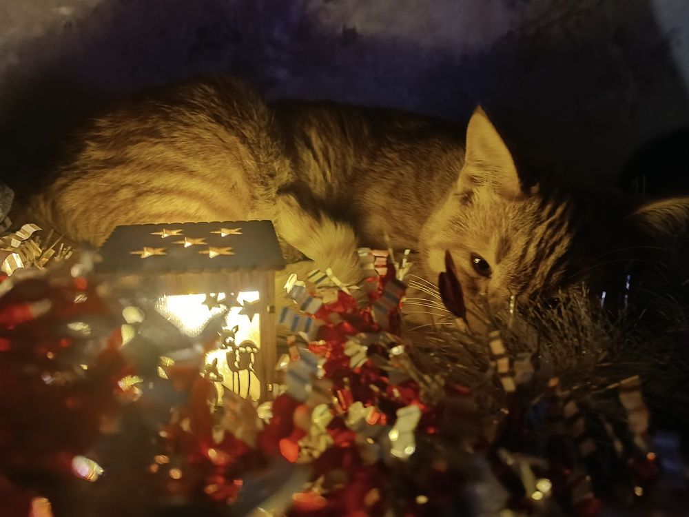 Photograph by Валерий Безбородов