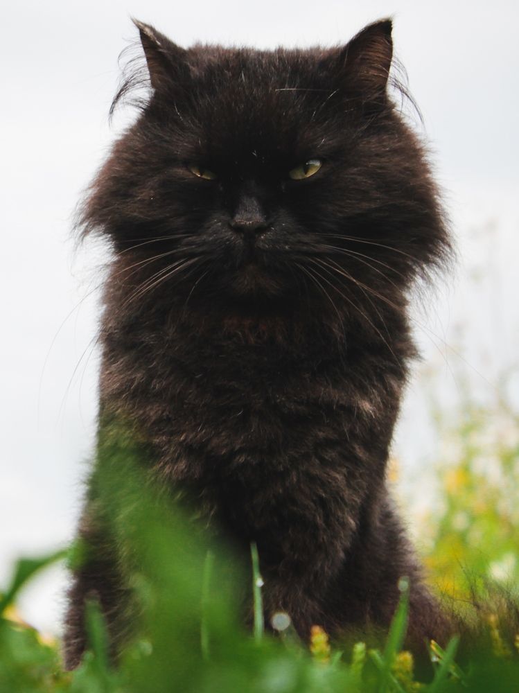 Photograph by Наталья Касимова