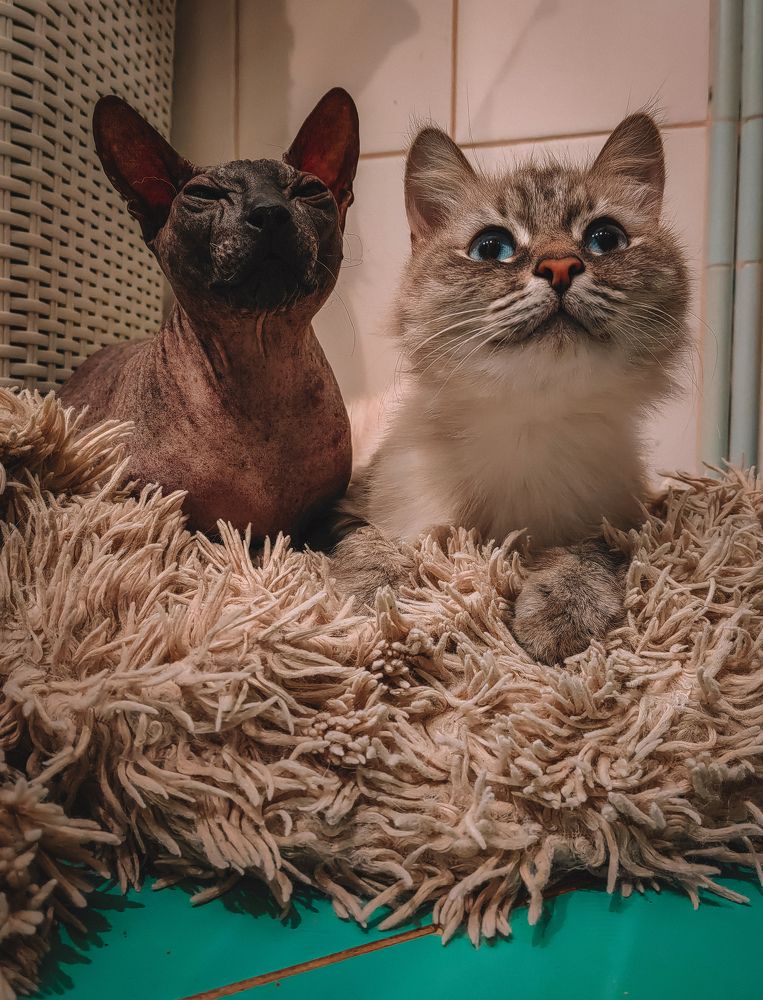 Photograph by Александра Зарипова
