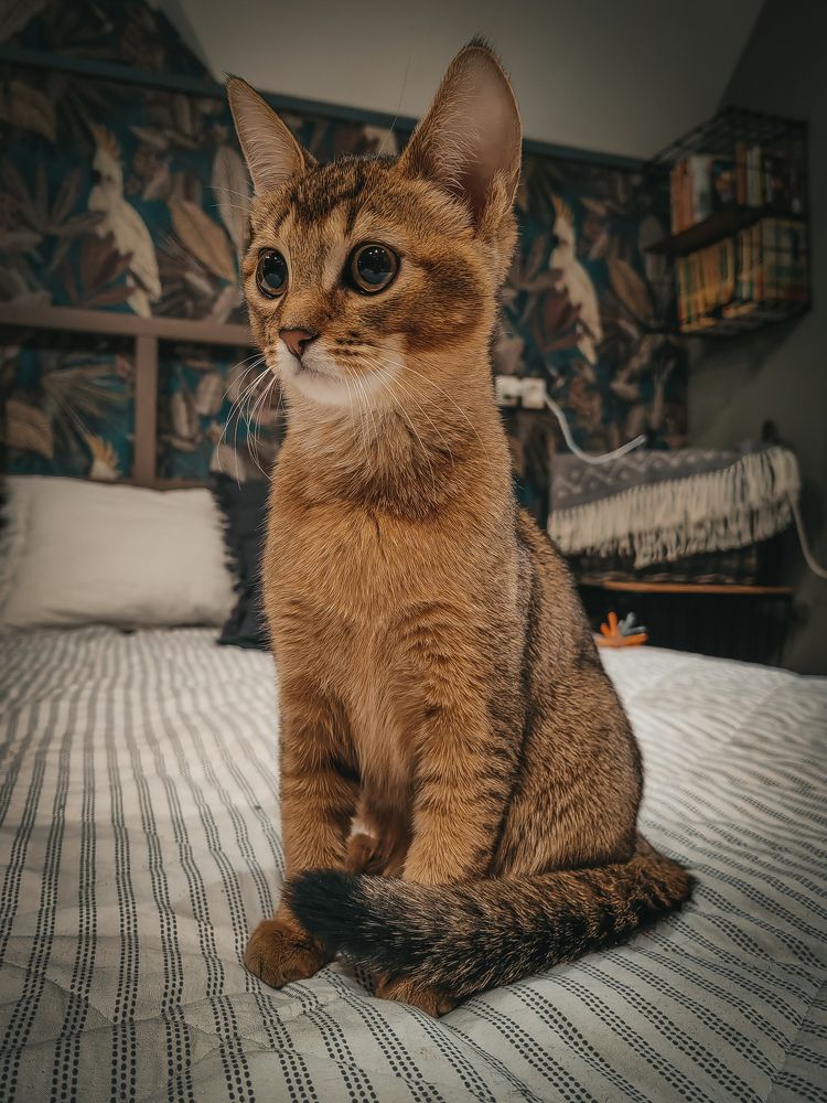 Photograph by Александра Зарипова