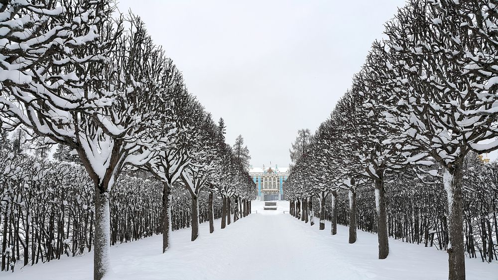 Photograph by Сергей Вальков