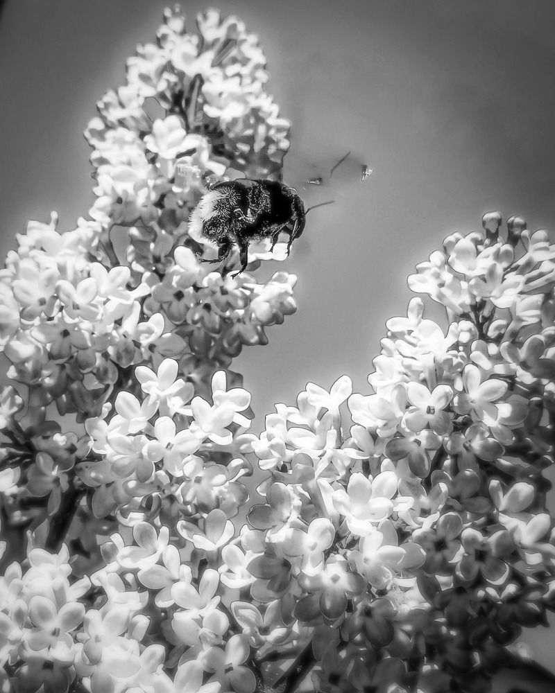 Photograph by Николай Яковлев