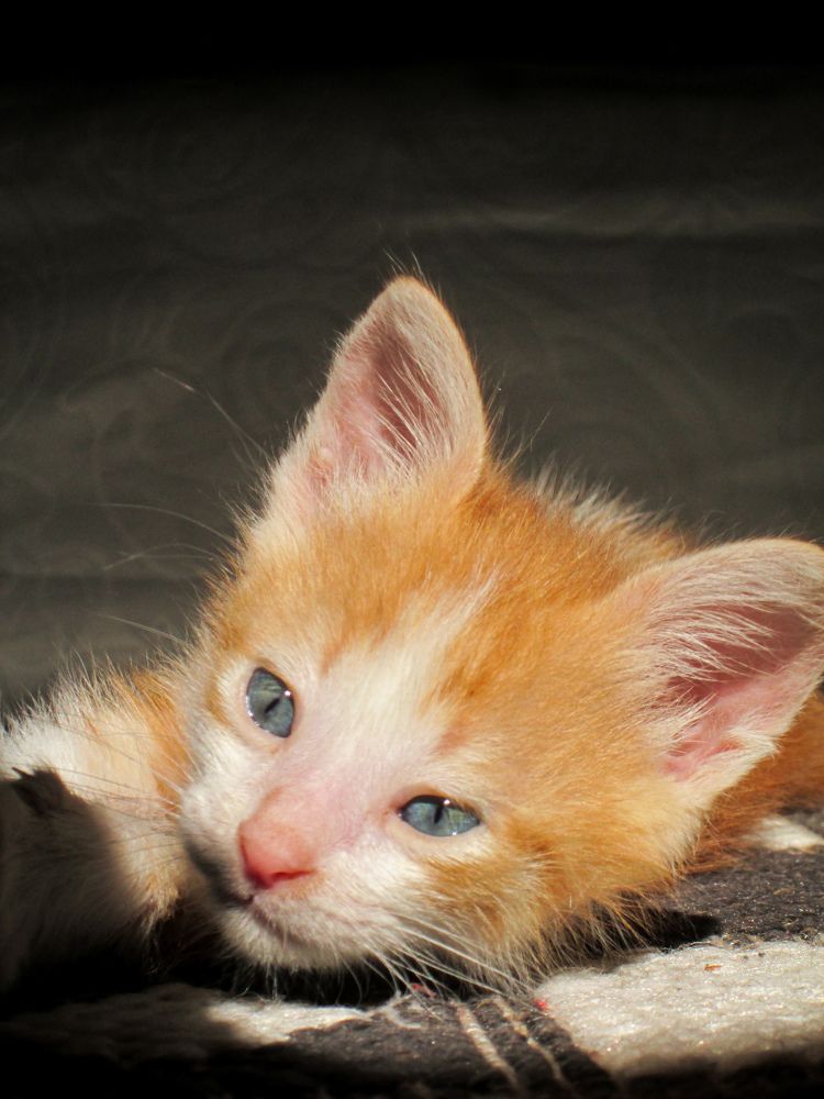 Photograph by abd alghani