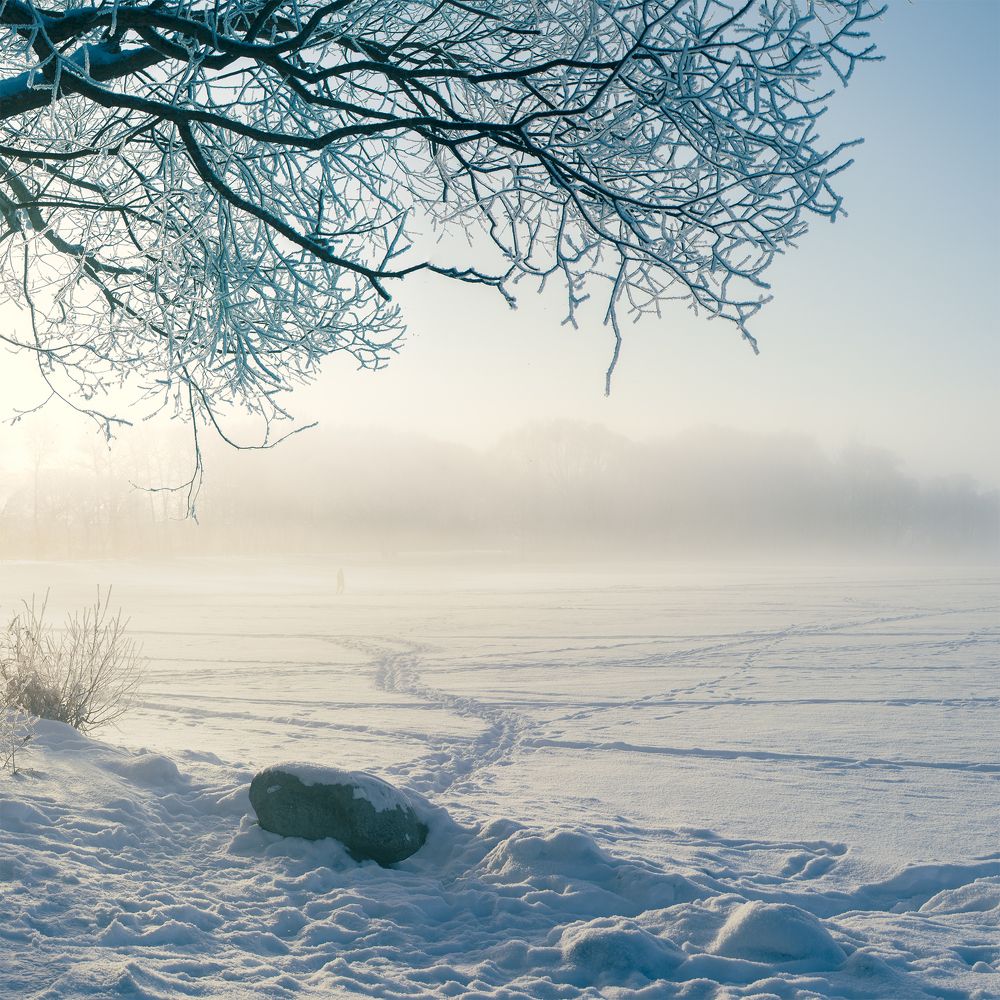 Фотография автора Руслан Комаров