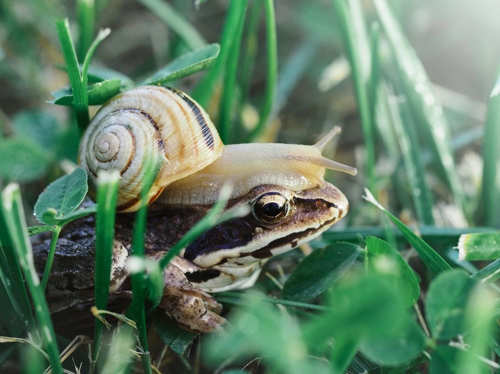 Photograph by Сергей Калёв