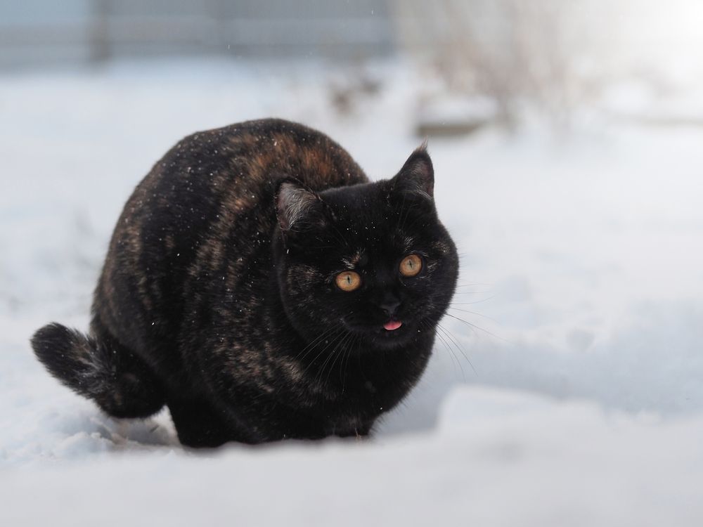 Photograph by Сергей Калёв