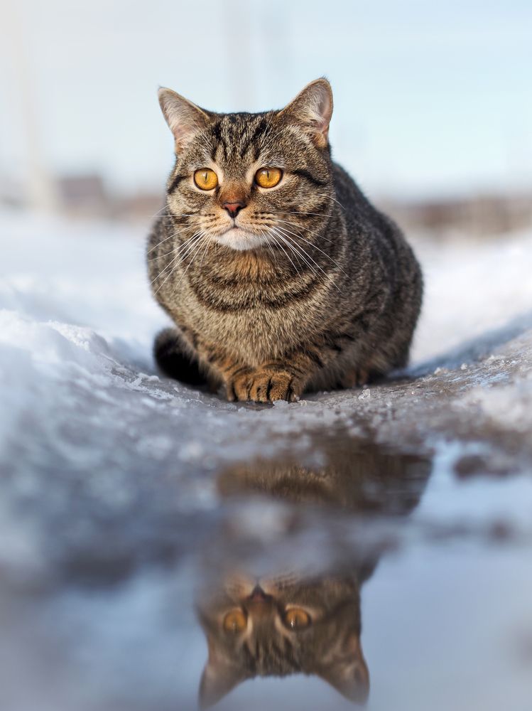 Photograph by Сергей Калёв