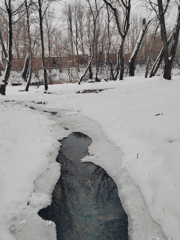 Фотография автора Rafa