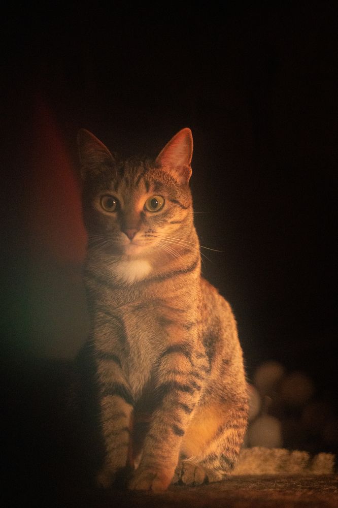 Photograph by Валерия Паули