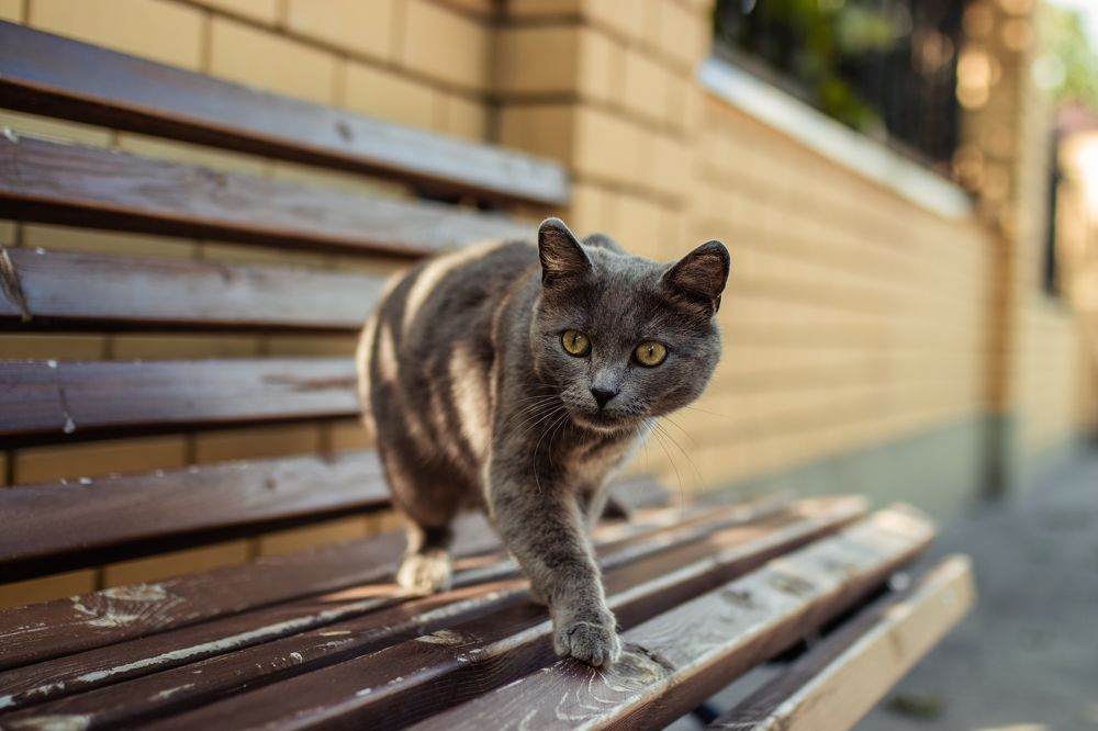 Photograph by Анна Лисина