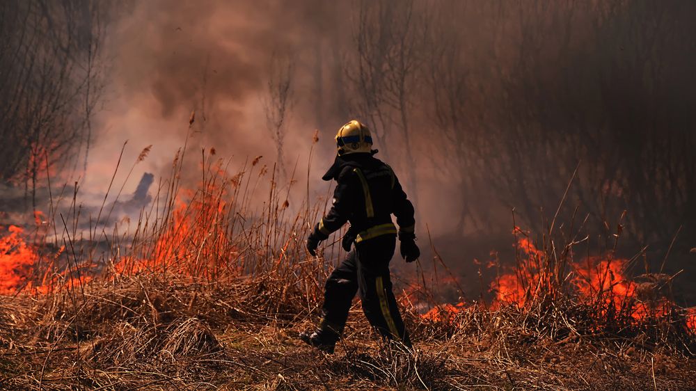 Photograph by Алексей Парамонов