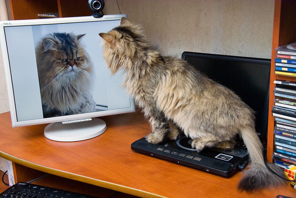 Photograph by Алексей Окунеев