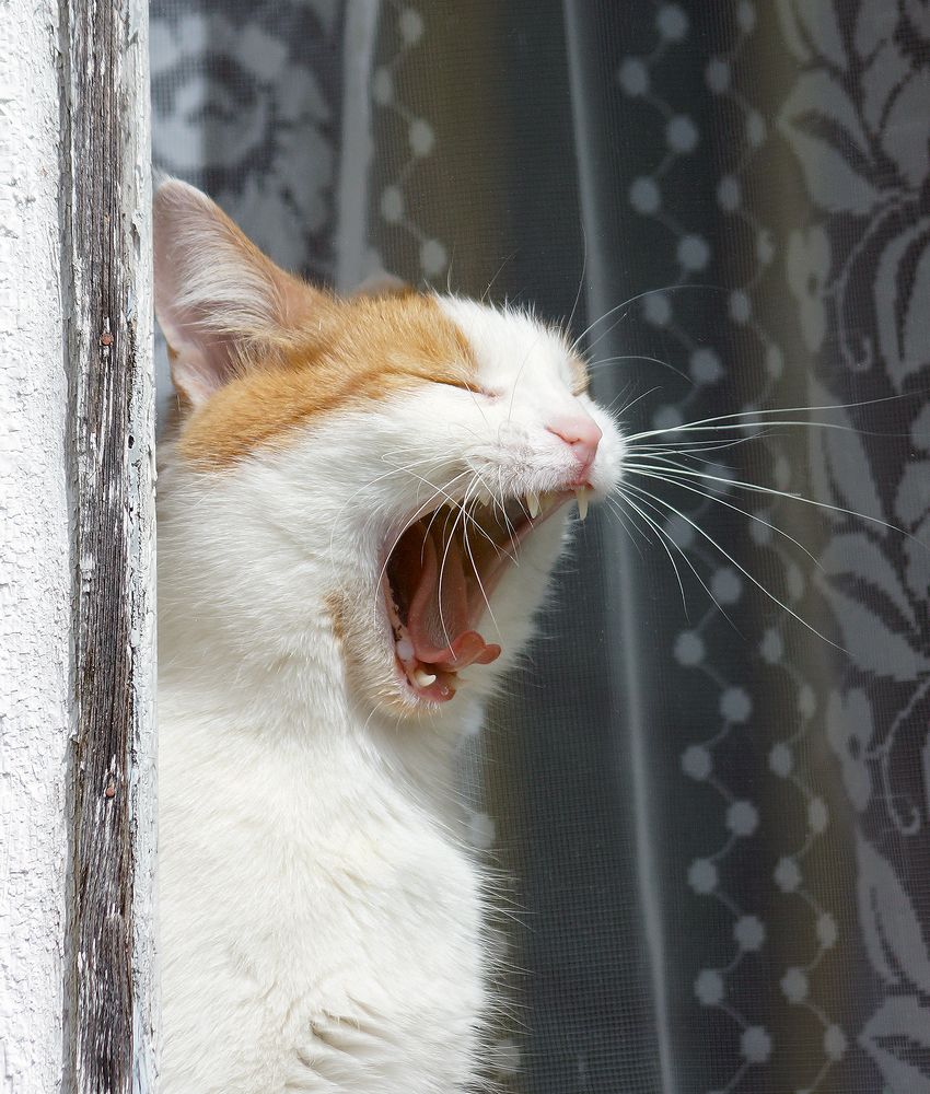 Photograph by Анатолий Максимов