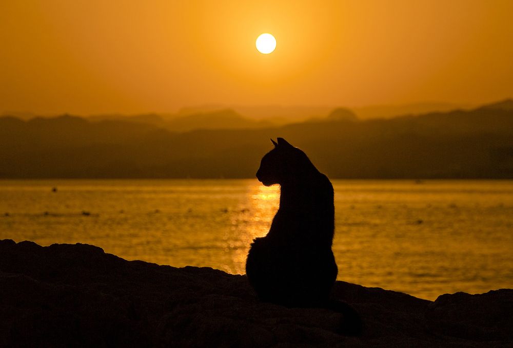 Photograph by Алексей Окунеев