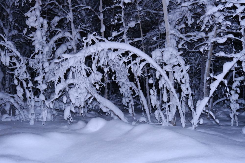 Photograph by Иван Державин