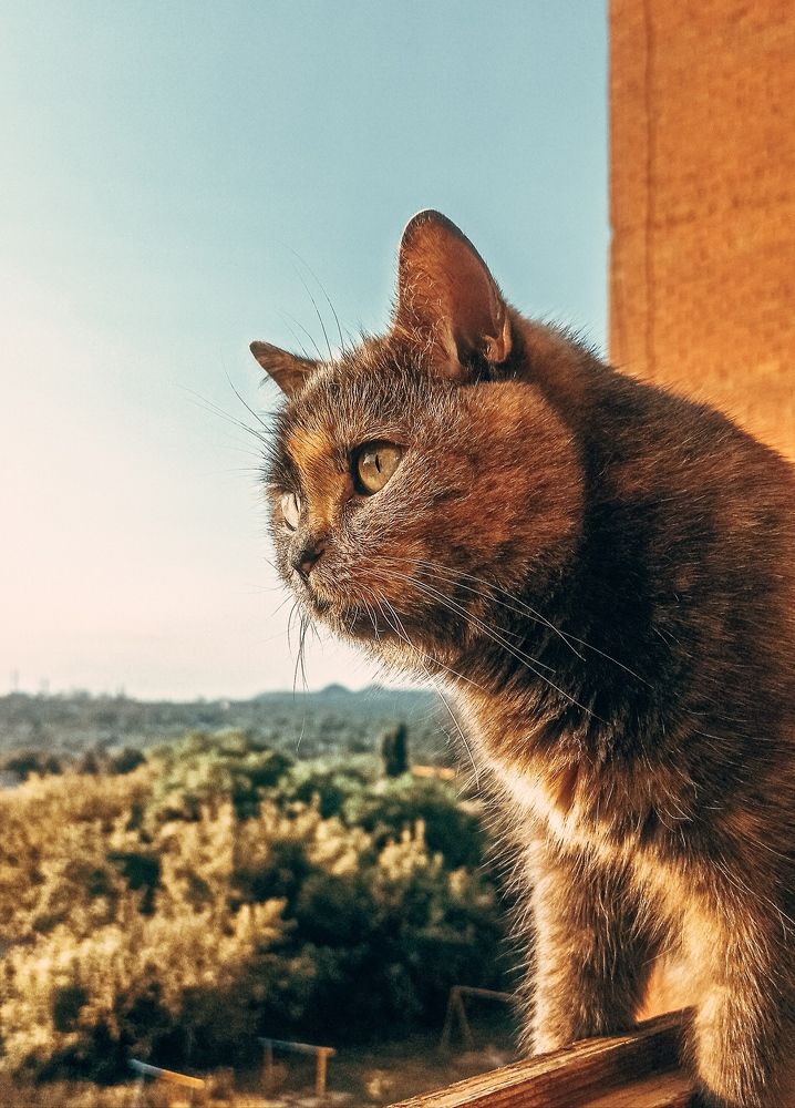 Photograph by Александр Труфанов