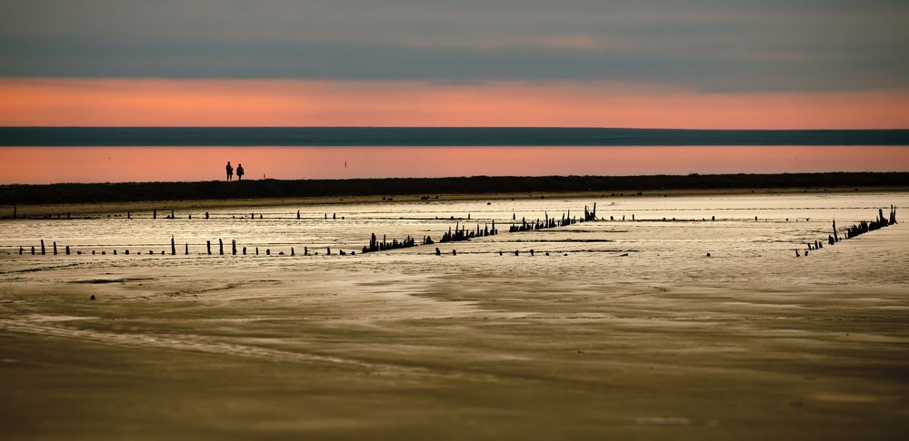 Меланхолия