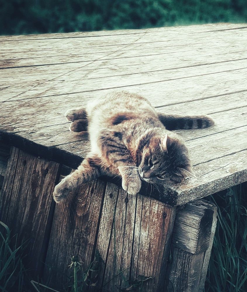 Photograph by Наталья Болотенков